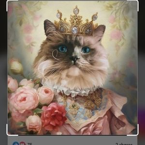 Meet your Posher, Debra